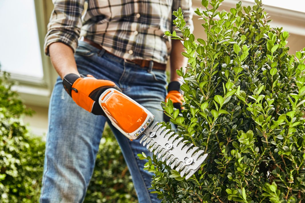 STIHL HSA 26 MIT AKKU AS 2 UND LADEGERÄT AL 1